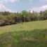  Land for sale in Santander, Curiti, Santander