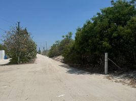  Grundstück zu verkaufen in Chicxulub Pueblo, Yucatan, Chicxulub Pueblo