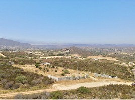  Grundstück zu verkaufen in Ensenada, Baja California, Ensenada