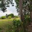  Land for sale in Mazatan, Chiapas, Mazatan