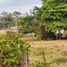  Terreno (Parcela) en venta en Mazatan, Chiapas, Mazatan