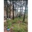  Land for sale in Morelia, Michoacan, Morelia, Michoacan