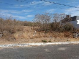  Grundstück zu verkaufen in Irapuato, Guanajuato, Irapuato