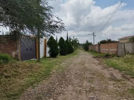  Land for sale in Silao, Guanajuato, Silao