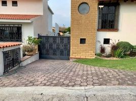 5 chambre Maison for sale in Morelos, Tlayacapan, Morelos