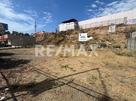  Land for rent in Tijuana, Baja California, Tijuana, Baja California