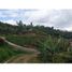  Land for sale in Caldas, Manizales, Caldas