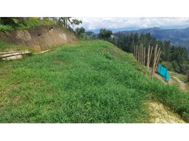  Land for sale in Caldas, Manizales, Caldas