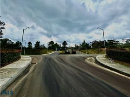  Terreno (Parcela) en venta en Pensilvania, Caldas, Pensilvania