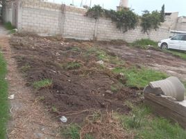  Grundstück zu verkaufen in Toluca, Mexico, Toluca