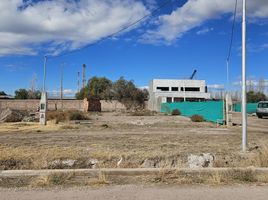  Grundstück zu verkaufen in San Rafael, Mendoza, San Rafael