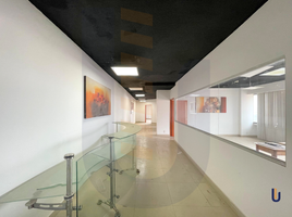 150 m2 Office for rent in Miguel Hidalgo, Mexico City, Miguel Hidalgo