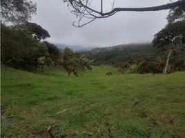  Terreno (Parcela) en venta en La Calera, Cundinamarca, La Calera