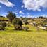  Land for sale in El Carmen De Viboral, Antioquia, El Carmen De Viboral