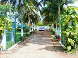 2 Schlafzimmer Villa zu verkaufen in Merida, Yucatan, Merida