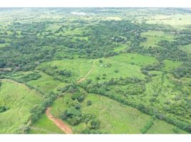  Terreno (Parcela) en venta en Panamá, Chepo, Chepo, Panamá