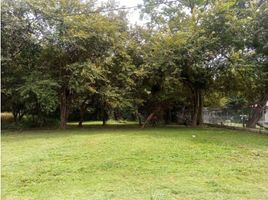  Terreno (Parcela) en venta en Antón, Coclé, Río Hato, Antón