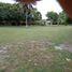  Land for sale in Cocle, Cocle, Penonome, Cocle