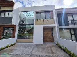 미코 아칸PropertyTypeNameBedroom, 모렐리 아, 미코 아칸