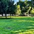  Land for sale in Zapopan, Jalisco, Zapopan, Jalisco
