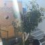 미코 아칸PropertyTypeNameBedroom, 모렐리 아, 미코 아칸