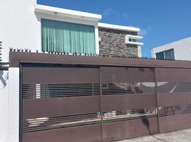 미코 아칸PropertyTypeNameBedroom, 모렐리 아, 미코 아칸