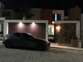 미코 아칸PropertyTypeNameBedroom, 모렐리 아, 미코 아칸