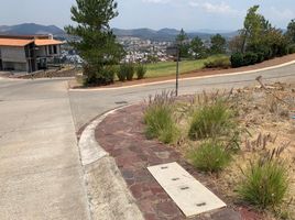  Grundstück zu verkaufen in Morelia, Michoacan, Morelia