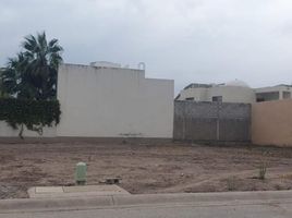 Terrain à vendre à Torreon, Coahuila, Torreon