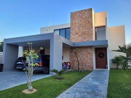在Yucatan出租的5 卧室 公寓, Merida, Yucatan