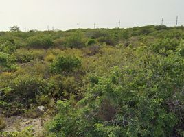  Terrain for sale in Ixil, Yucatan, Ixil