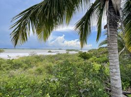  Grundstück zu verkaufen in Dzemul, Yucatan, Dzemul