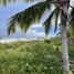  Land for sale in Dzemul, Yucatan, Dzemul