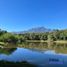  토지을(를) Montemorelos, 누에 보 레온에서 판매합니다., Montemorelos