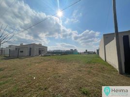  Land for sale in Castellanos, Santa Fe, Castellanos