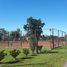  Land for sale in San Lorenzo, Santa Fe, San Lorenzo