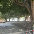 Land for rent in Tuxpan, Jalisco, Tuxpan