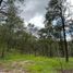  Land for sale in Badiraguato, Sinaloa, Badiraguato