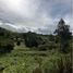  Land for sale in Guarne, Antioquia, Guarne