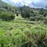  Land for sale in Guarne, Antioquia, Guarne