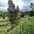  Land for sale in Guarne, Antioquia, Guarne