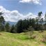 Terrain à vendre à La Ceja, Antioquia, La Ceja, Antioquia, Colombie