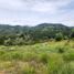  Land for sale in Rionegro, Antioquia, Rionegro