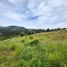  Land for sale in Rionegro, Antioquia, Rionegro