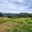 Land for sale in Rionegro, Antioquia, Rionegro