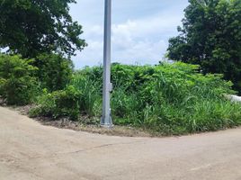  Grundstück zu verkaufen in Othon P Blanco, Quintana Roo, Othon P Blanco