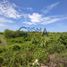  Terreno (Parcela) en venta en Tantima, Veracruz, Tantima