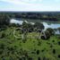  Land for sale in Tuxpan, Veracruz, Tuxpan