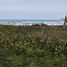  Land for sale in Tamiahua, Veracruz, Tamiahua