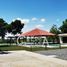  Land for sale in Tuxpan, Veracruz, Tuxpan